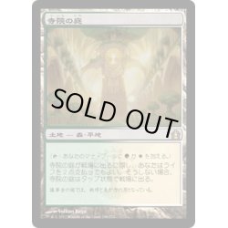 画像1: 【JPN】寺院の庭/Temple Garden[MTG_RTR_248R]