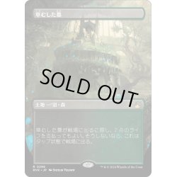 画像1: 【JPN】■Borderless■草生した墓/Overgrown Tomb[MTG_RVR_0296_R]