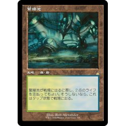 画像1: 【JPN】■Retro Frame■繁殖池/Breeding Pool[MTG_RVR_0399_R]