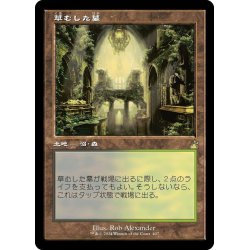 画像1: 【JPN】■Retro Frame■草生した墓/Overgrown Tomb[MTG_RVR_0407_R]