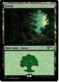 【ENG】森/Forest[MTG_SLD_108]