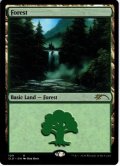 【ENG】森/Forest[MTG_SLD_109]