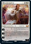 【JPN】華やいだエルズペス/Elspeth Resplendent[MTG_SNC_011M]