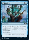 【JPN】壮麗なる変化/Majestic Metamorphosis[MTG_SNC_048C]