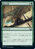 【JPN】壊れた翼/Broken Wings[MTG_SNC_136C]