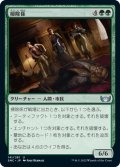 【JPN】掃除係/Cleanup Crew[MTG_SNC_141U]