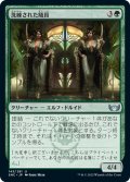 【JPN】洗練された随員/Elegant Entourage[MTG_SNC_143U]