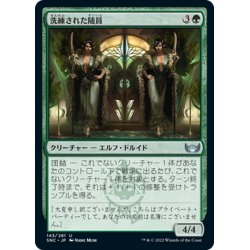 画像1: 【JPN】洗練された随員/Elegant Entourage[MTG_SNC_143U]