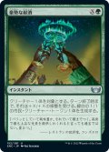 【JPN】豪勢な献酒/Luxurious Libation[MTG_SNC_152U]