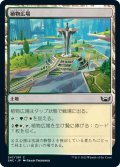 【JPN】植物広場/Botanical Plaza[MTG_SNC_247C]