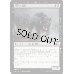 画像1: 【JPN】遠沼の猟犬/Hound of the Farbogs[MTG_SOI_117C]