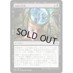 画像1: 【JPN】知恵の拝借/Pick the Brain[MTG_SOI_129U]