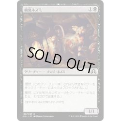 画像1: 【JPN】腐臭ネズミ/Rancid Rats[MTG_SOI_130C]