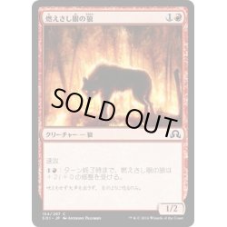 画像1: 【JPN】燃えさし眼の狼/Ember-Eye Wolf[MTG_SOI_154C]