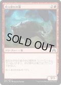 【JPN】吠え群れの狼/Howlpack Wolf[MTG_SOI_164C]