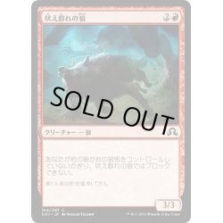 画像1: 【JPN】吠え群れの狼/Howlpack Wolf[MTG_SOI_164C]