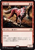 【JPN】災いの狼/Scourge Wolf[MTG_SOI_179R]