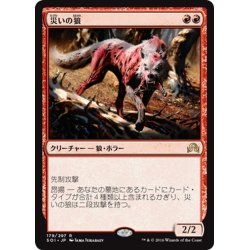 画像1: 【JPN】災いの狼/Scourge Wolf[MTG_SOI_179R]