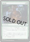 【JPN】蟻走感/Crawling Sensation[MTG_SOI_199U]