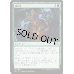 画像1: 【JPN】蟻走感/Crawling Sensation[MTG_SOI_199U]