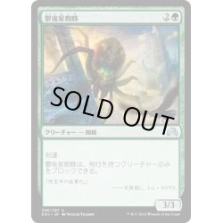 画像1: 【JPN】鬱後家蜘蛛/Gloomwidow[MTG_SOI_206U]