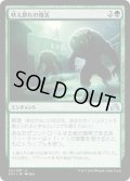 【JPN】吠え群れの復活/Howlpack Resurgence[MTG_SOI_211U]