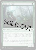 【JPN】壌土のドライアド/Loam Dryad[MTG_SOI_216C]