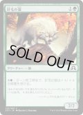 【JPN】針毛の狼/Quilled Wolf[MTG_SOI_222C]