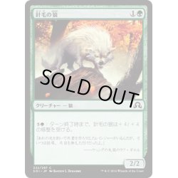 画像1: 【JPN】針毛の狼/Quilled Wolf[MTG_SOI_222C]