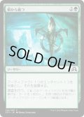 【JPN】根から絶つ/Root Out[MTG_SOI_224C]