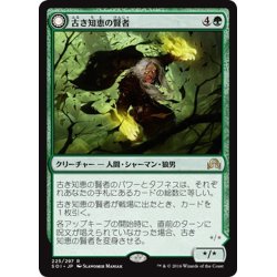 画像1: 【JPN】古き知恵の賢者/Sage of Ancient Lore[MTG_SOI_225R]