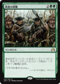 【JPN】再度の収穫/Second Harvest[MTG_SOI_227R]