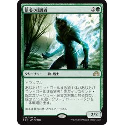 画像1: 【JPN】銀毛の援護者/Silverfur Partisan[MTG_SOI_228R]