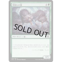 画像1: 【JPN】茨隠れの狼/Thornhide Wolves[MTG_SOI_232C]