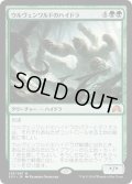 【JPN】ウルヴェンワルドのハイドラ/Ulvenwald Hydra[MTG_SOI_235M]