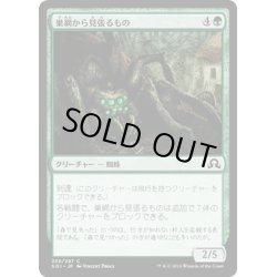 画像1: 【JPN】巣網から見張るもの/Watcher in the Web[MTG_SOI_239C]