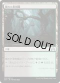 【JPN】穢れた果樹園/Foul Orchard[MTG_SOI_275U]