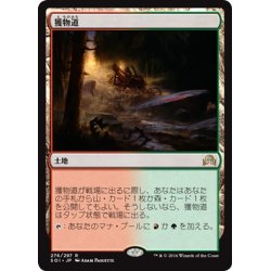 画像1: 【JPN】獲物道/Game Trail[MTG_SOI_276R]