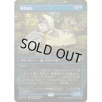 【JPN】魂の管理人/Soul Warden[MTG_SPG_0055_M]