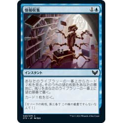 画像1: 【JPN】情報収集/Curate[MTG_STX_040C]