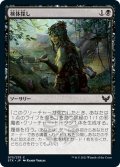 【JPN】検体探し/Hunt for Specimens[MTG_STX_073C]