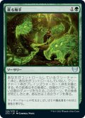 【JPN】貪る触手/Devouring Tendrils[MTG_STX_126U]