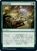 【JPN】創発的配列/Emergent Sequence[MTG_STX_129U]