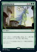 【JPN】指数関数的成長/Exponential Growth[MTG_STX_130R]