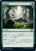 【JPN】現地調査/Field Trip[MTG_STX_131C]