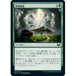 画像1: 【JPN】現地調査/Field Trip[MTG_STX_131C]