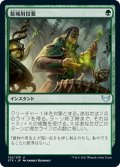 【JPN】籠城用投薬/Fortifying Draught[MTG_STX_132U]