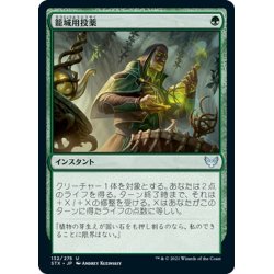 画像1: 【JPN】籠城用投薬/Fortifying Draught[MTG_STX_132U]