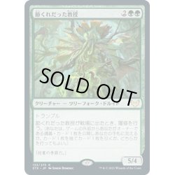 画像1: 【JPN】節くれだった教授/Gnarled Professor[MTG_STX_133R]