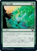 【JPN】魔道士の決闘/Mage Duel[MTG_STX_137C]